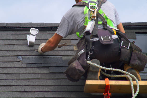 Best Best Roofing Contractors  in Bellevue, WI