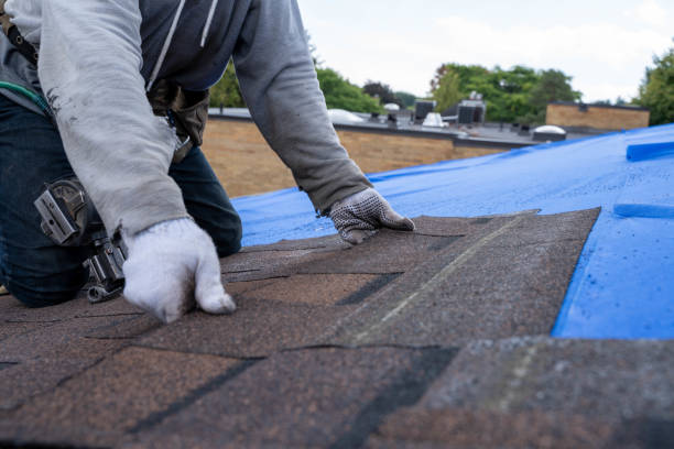 Best Roof Leak Repair  in Bellevue, WI